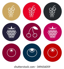 Berries icon set in muted tones