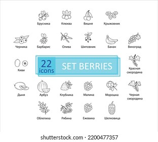 berries icon set. Signature in Russian 26 icons set of  berries. Simple concise images of berries with names in Russian. Collection of icons in outlines.  Vector, eps