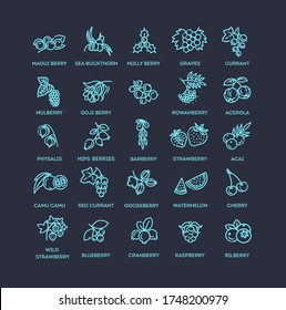Juego de iconos de Berries. Ilustración vectorial en estilo plano moderno