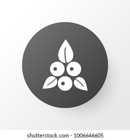 Berries icon symbol. Premium quality isolated cranberry element in trendy style.