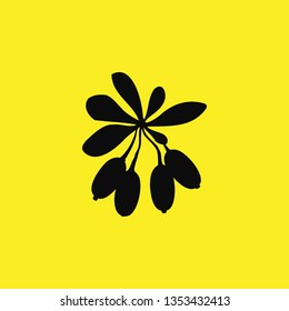 berries icon vector