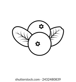 berries icon vector illustration eps
