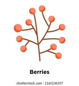 Berries icon vector isolated on white background, Berries transparent sign , snowy cold winter symbols