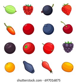 Berries icons set. Cartoon illustration of 16 berries vector icons for web
