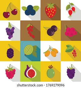 Berries icons set. Flat illustration of 16 berries vector icons for web