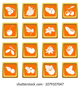 Berries icons set vector orange square isolated on white background 