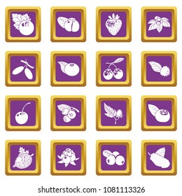 Berries icons set vector purple square isolated on white background 