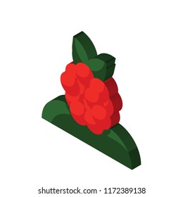 Berries isometric left top view 3D icon