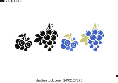 Berries with leaves. Grapes and blueberry vector. Natural food