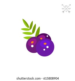 AÑ�ai Berries with Leaves Icon