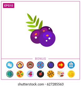 AÑ�ai Berries with Leaves Icon