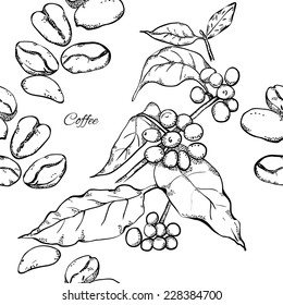 Berries, leaves, shoots and grains of coffee - monochrome seamless pattern, line art.
