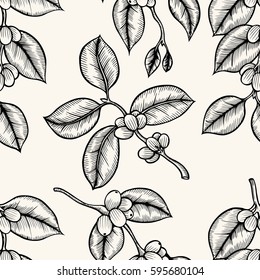 Berries, leaves, shoots and grains of coffee - seamless pattern, line art.