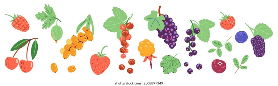 Beeren und Blätter, Vektorgrafiken einzeln auf Weiß.