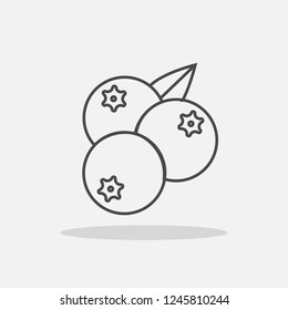 Berries line icon with shadow