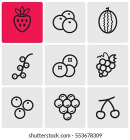 Berries line icons
