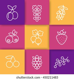 Berries line icons, raspberry, cherry, grape, strawberry, barberry, plums