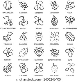 Berries linear icons business analysis vector set design elements berries fresh healthy products vegetables fruits food vegan vector line icons money commerce logistics search vector symbols set