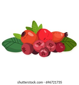 Berries mix. Vector illustration.