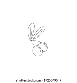 Berries and olive leaves. Continuous drawing of a single line, a vector design template in a linear style. Outline of an olive vector icon