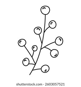 Berries on a branch in doodle style, linear, isolated on white background