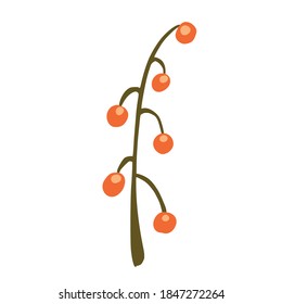 Berries on twig isolated on white background. Abstract botanical berry red color sketch hand drawn in style doodle vector illustration.