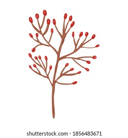 Berries on twig isolated on white background. Abstract botanical berry red color sketch hand drawn in style doodle vector illustration.