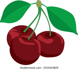 bayas en una ramita con hojas, cereza roja, objetos comestibles maduros, dos hojas y tres bayas maduras
