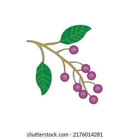 berries on twigs and leaves, flat design vector illustration