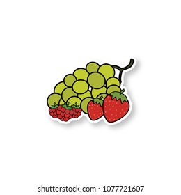 Berries patch. Bunch of green grapes, strawberry and raspberry. Color sticker. Vector isolated illustration