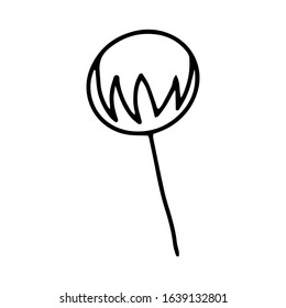 The berries of physalis outline drawing. Black - and-white image of physalis. Hand drawn line drawing.The autumn berries. To decorate a bouquet. Decorative ornament.Vector illustration