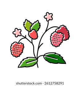 berries plant raspberry fruit color icon vector. berries plant raspberry fruit sign. isolated symbol illustration