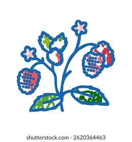 Vector de dibujo de icono de doodle de fruta de frambuesa de planta de bayas. signo de fruta de frambuesa de planta de bayas