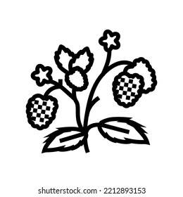 berries plant raspberry fruit line icon vector. berries plant raspberry fruit sign. isolated contour symbol black illustration