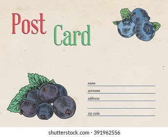 Berries post card on vintage background. black currant berry and blueberry