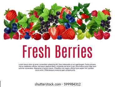 Berries poster or banner template. Fresh vector blackberry or blueberry, black currant and redcurrant, cherry and raspberry harvest. Forest strawberry, gooseberry and briar berry fruits crop