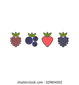 Berries. Raspberry, blueberry, strawberry, blackberry. Vector illustration