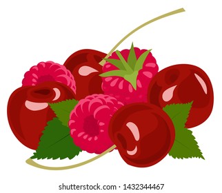Berries. Raspberry and cherry on white. Vector illustration