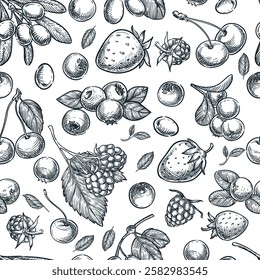Berries seamless pattern. Vector hand drawn sketch illustration of raspberry, blueberry, strawberry, cranberry, cherry. Farm fruits label package background. Wrapping paper, textile print design