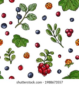Berries seampless pattern vector color food. 