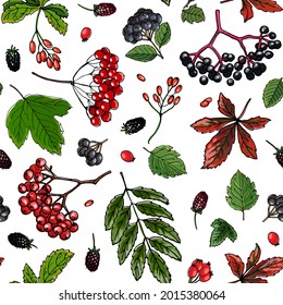 Berries seampless pattern vector color food. girlish grapes, rowan, forest leaves and berries
