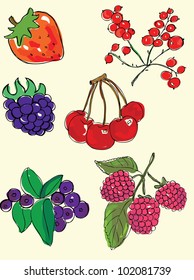 Berries Set