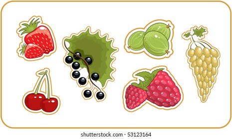 berries set