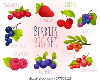 Berries, set, big set, with no background, strawberry, raspberry, cherry, currant, mountain ash, blueberries, cranberries,