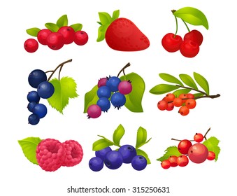Berries, set, big set, with no background, strawberry, raspberry, cherry, currant, mountain ash, blueberries, cranberries,