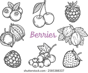 Berries set engraving hand drawn fruit botany illustration berry doodle sketch etch line currant raspberry strawberry blueberry cherry gooseberry dessert ingredient black white isolated graphic