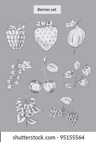 berries set hand drawn illustrations