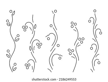 Berries set isolated on white background. Minimalistic style. Stylized berry bushes and plants for eco design, superfoods, package, gardening, wine labels, organic food or other. Vector illustration.