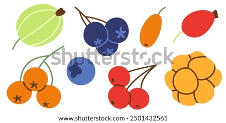 Berries set isolated on white. Colorful hand drawn decorative elements. Autumn berries in simple flat style. Vector illustration.