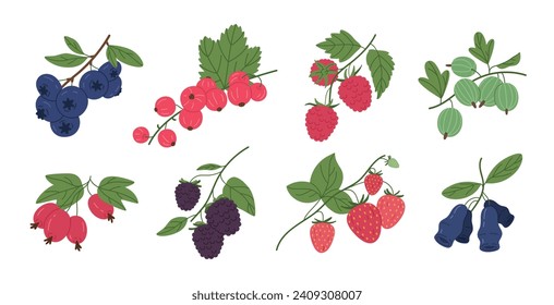 Berries set. Juicy forest berry, raspberry, strawberry, blueberry, gooseberry and red currant, wild edible fresh berries flat vector illustration set. Ripe delicious berries collection